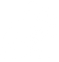 Experted Tree removal